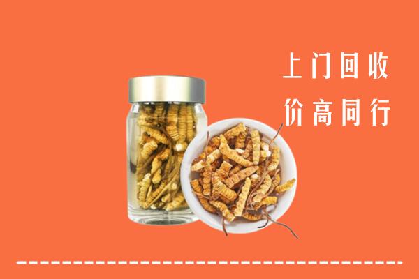 南昌市红谷滩区高价回收冬虫夏草